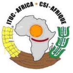 Logo-CSI-AFRIQUE